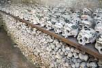 Charnel House Catholic Church Hallstatt