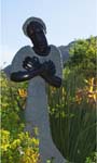 "Bringing Condolences", Kirstenbosch Botanical Gardens