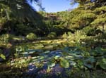 Exotic Garden of "Val Rahmeh" Menton
