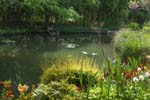 Monet's Garden