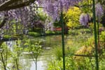 Monet's Garden