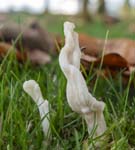 White Saddle Redmires Road