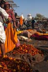 "Marigold Market", JAIPUR