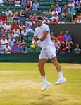 Robert Farah Wimbledon Men's Doubles Champion 2019