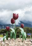 Sculpture Tepebasi Tulip Festival