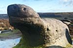 "Seal Stone" Near Over Owler Tor