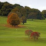 Autumn Chatsworth