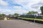 Tulyar Loughborough