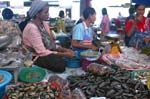 Mussels Krabi Market