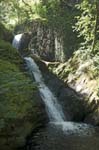 Dolgoch Falls