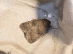 Brown Rustic Hickling Broad